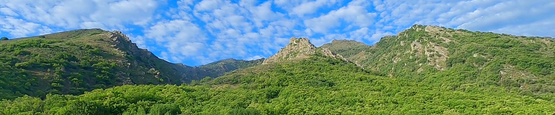 bandeau randonnee cevenole