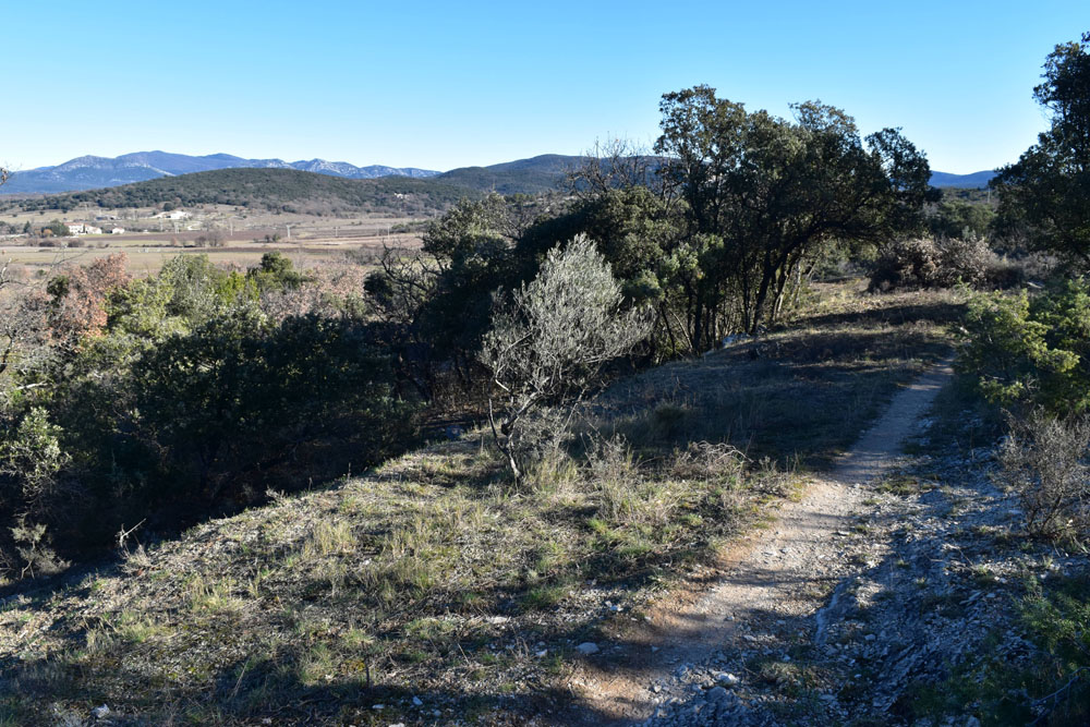 photo11