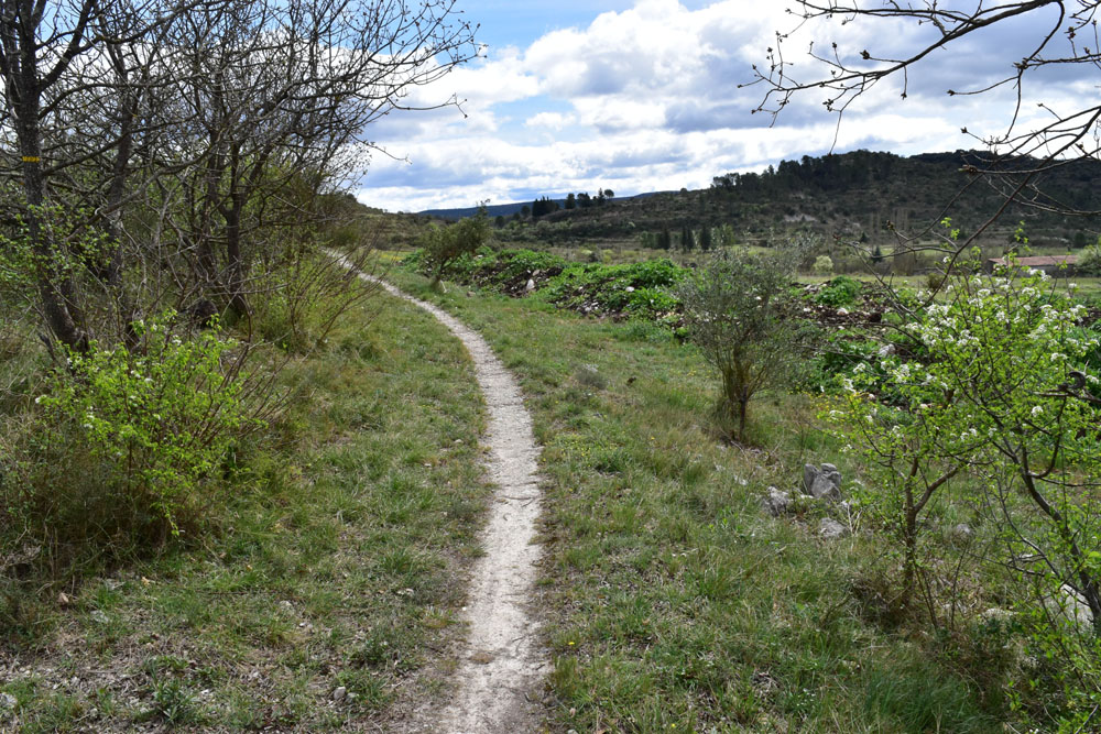 photo12