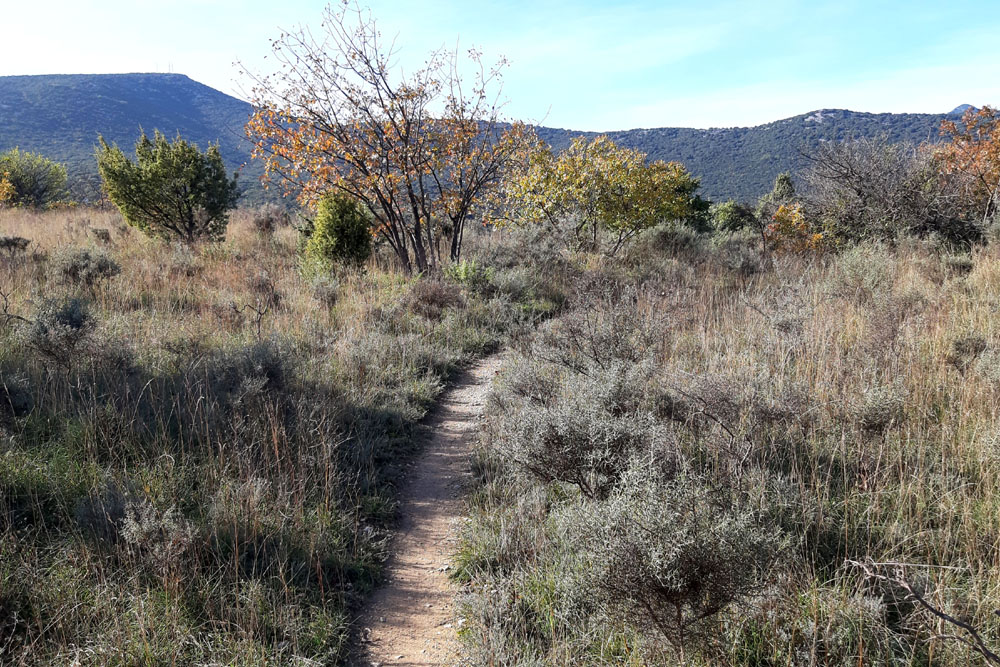 photo14