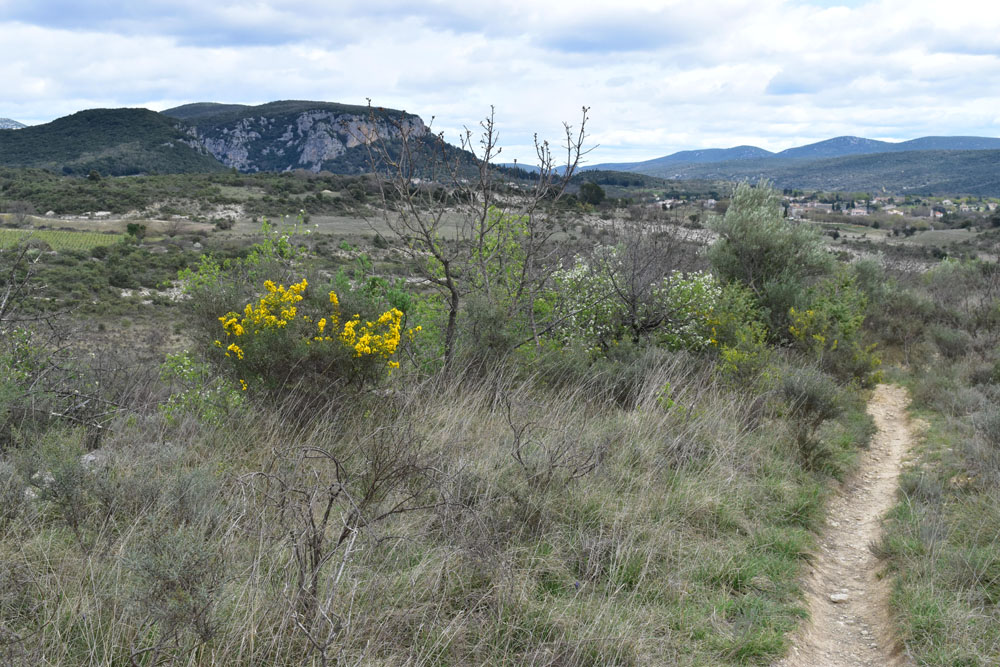 photo16
