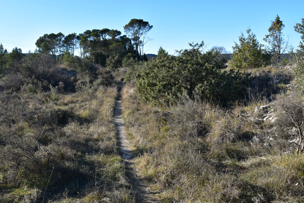 photo17