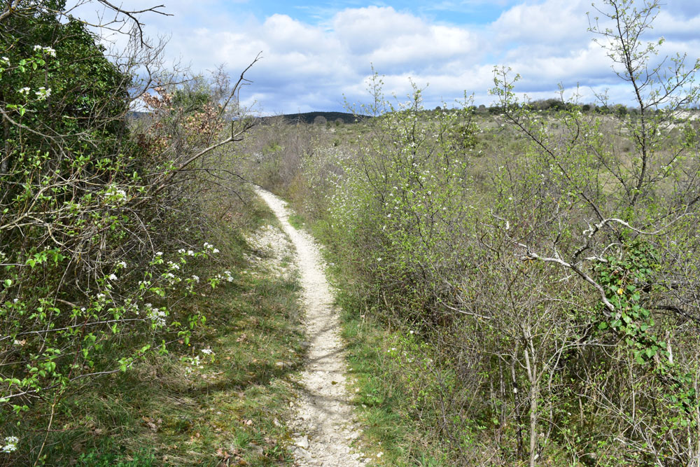 photo19