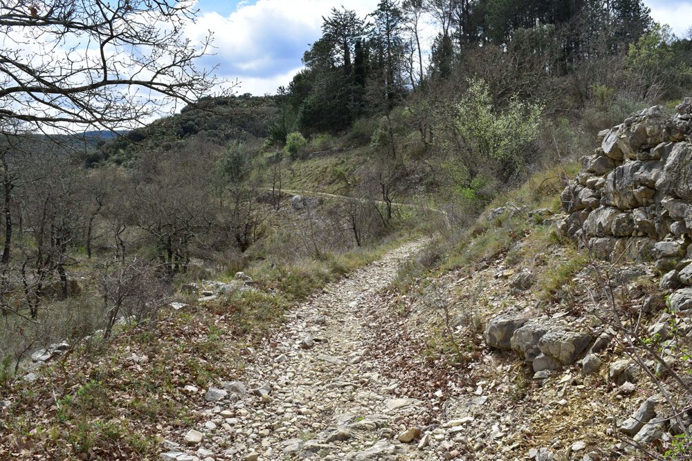 photo20