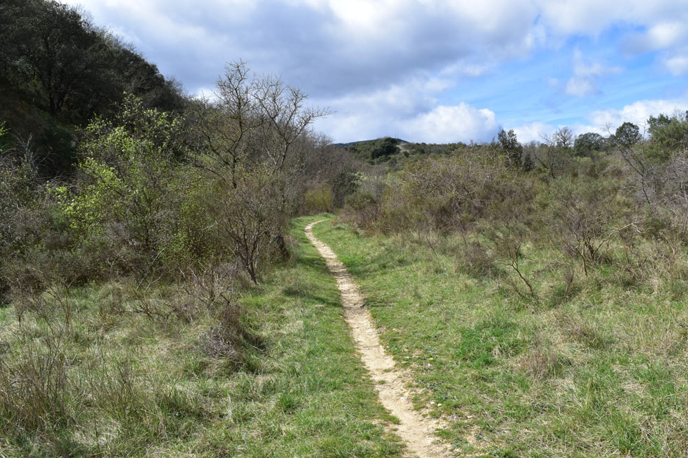 photo21