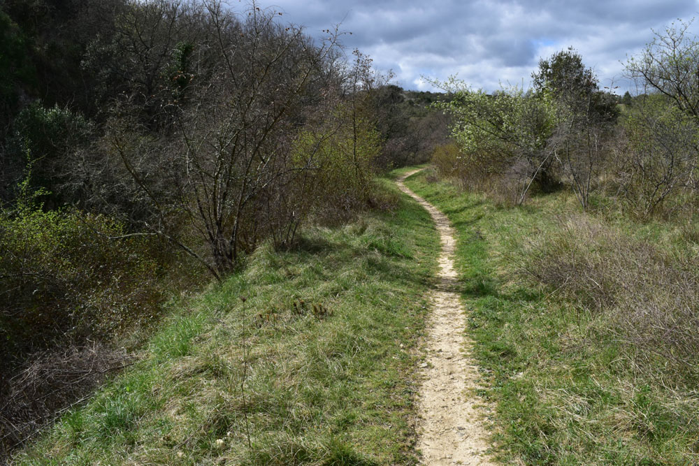 photo22