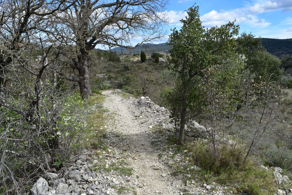 photo23