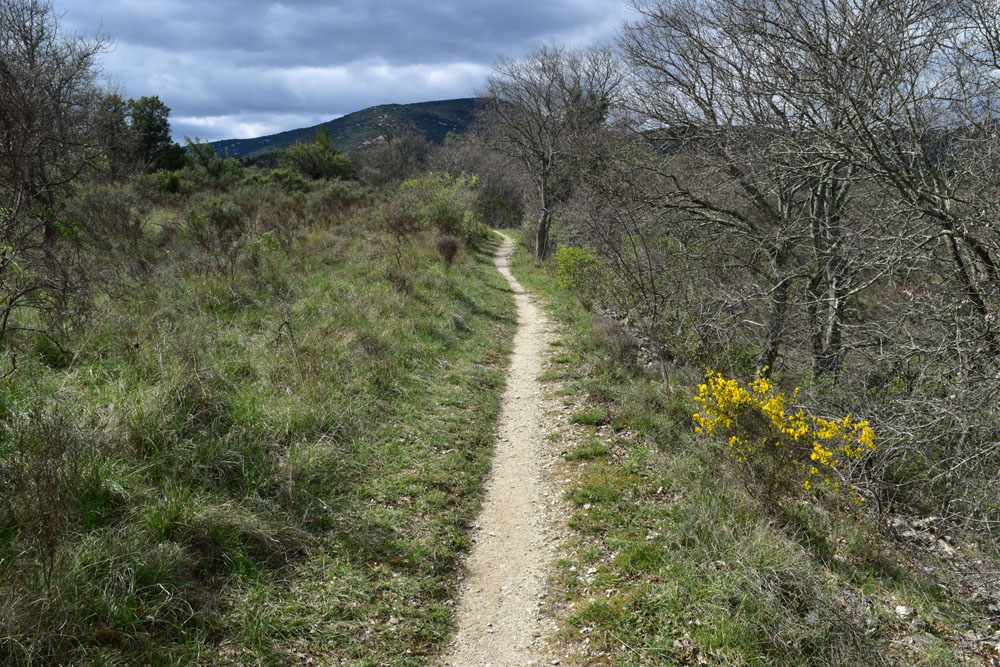 photo24