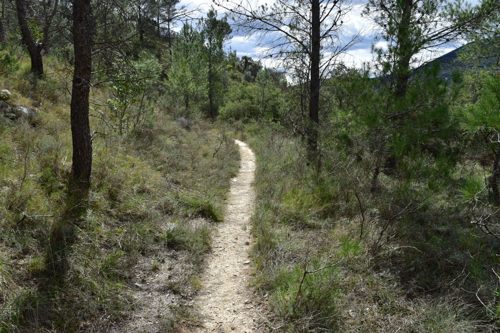 photo25