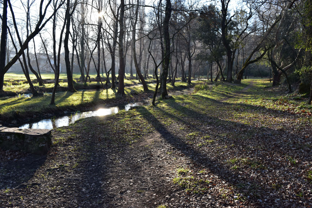 photo4