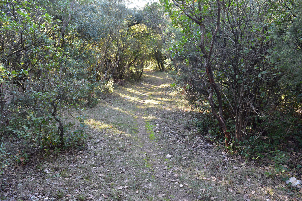 photo7
