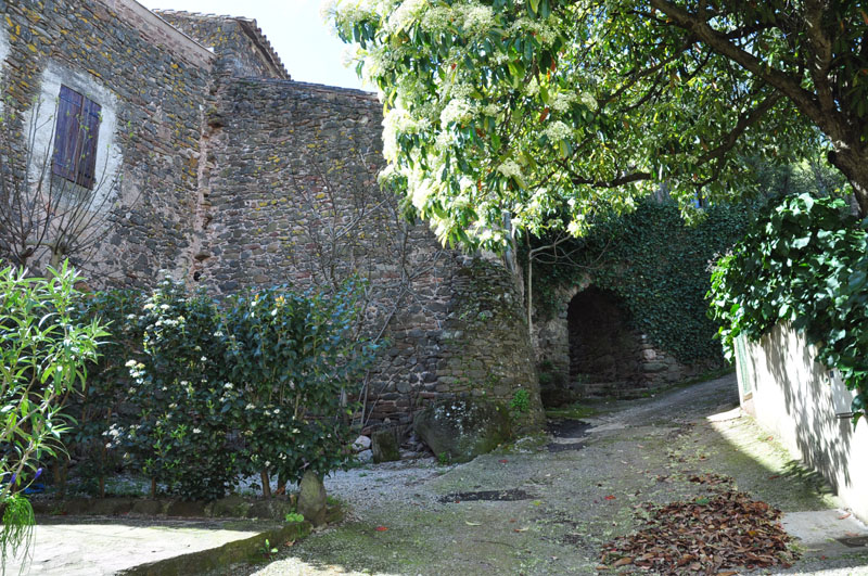 photo1