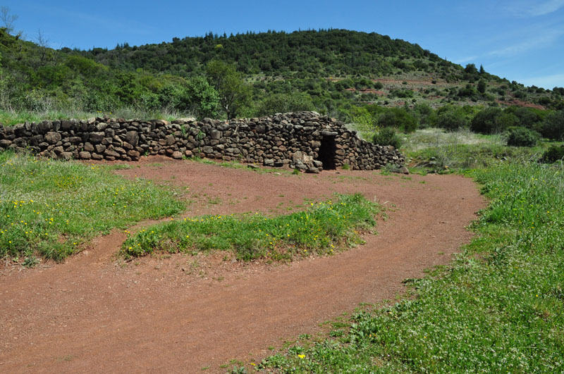 photo12
