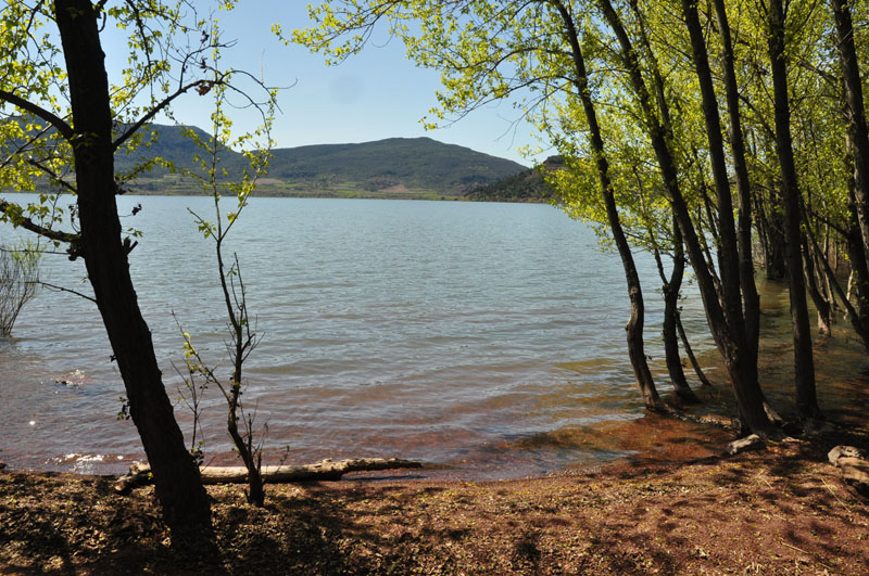 photo13