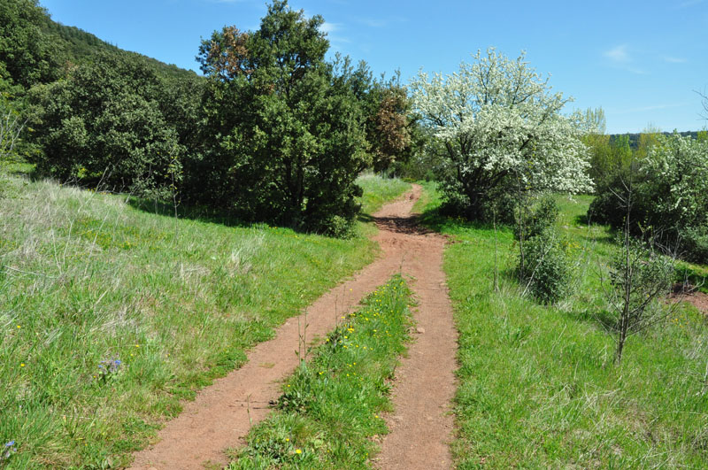 photo15