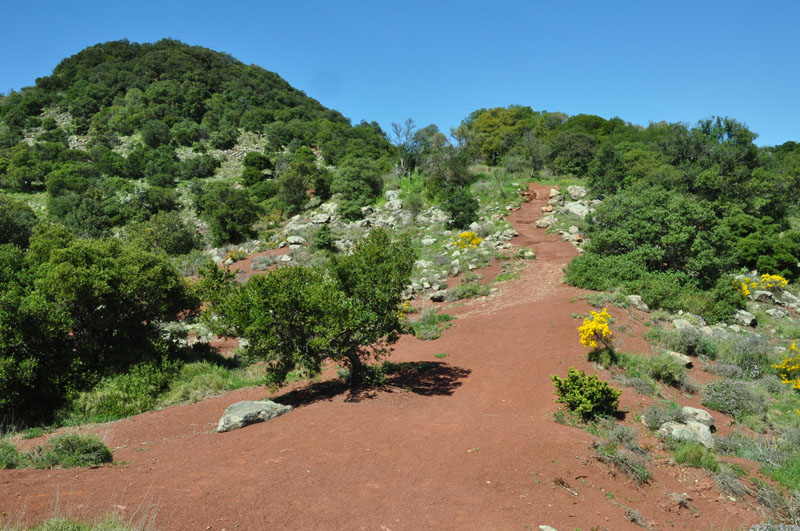 photo17