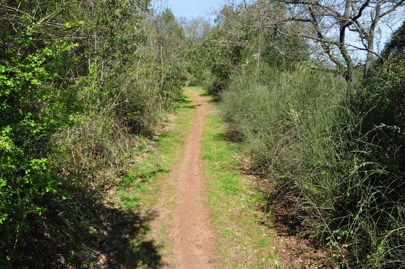 photo2