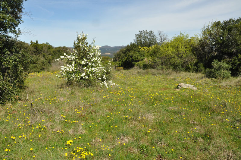 photo3