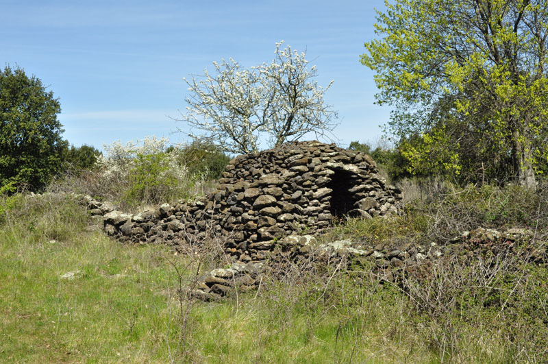 photo4