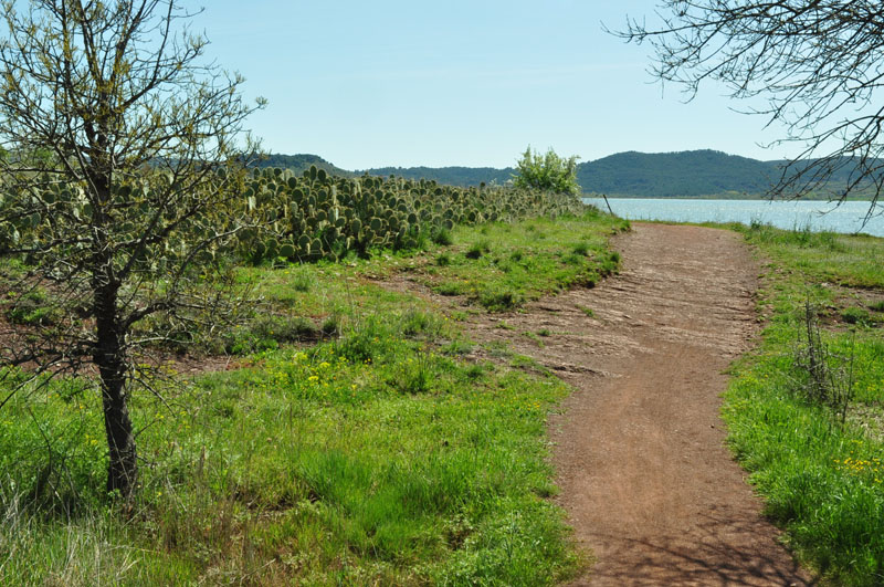 photo7