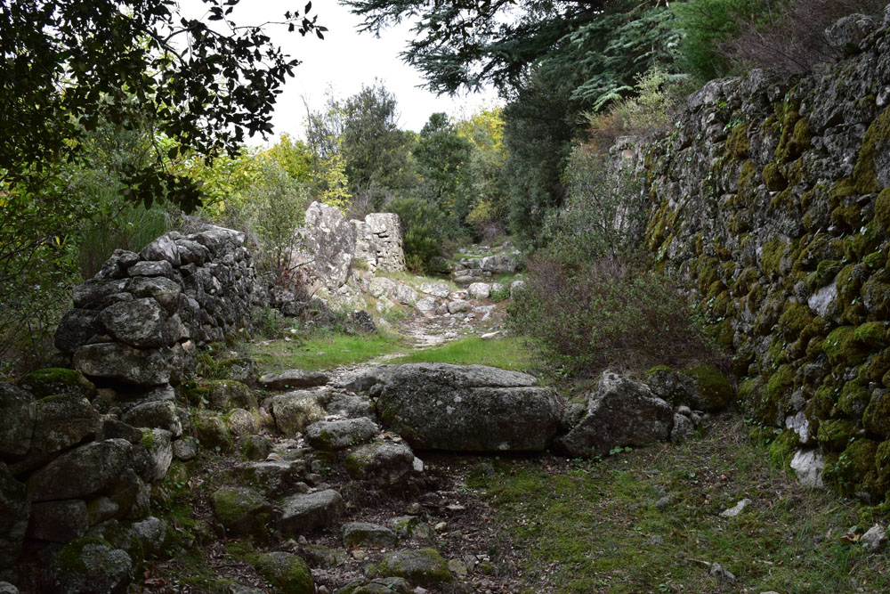 photo1