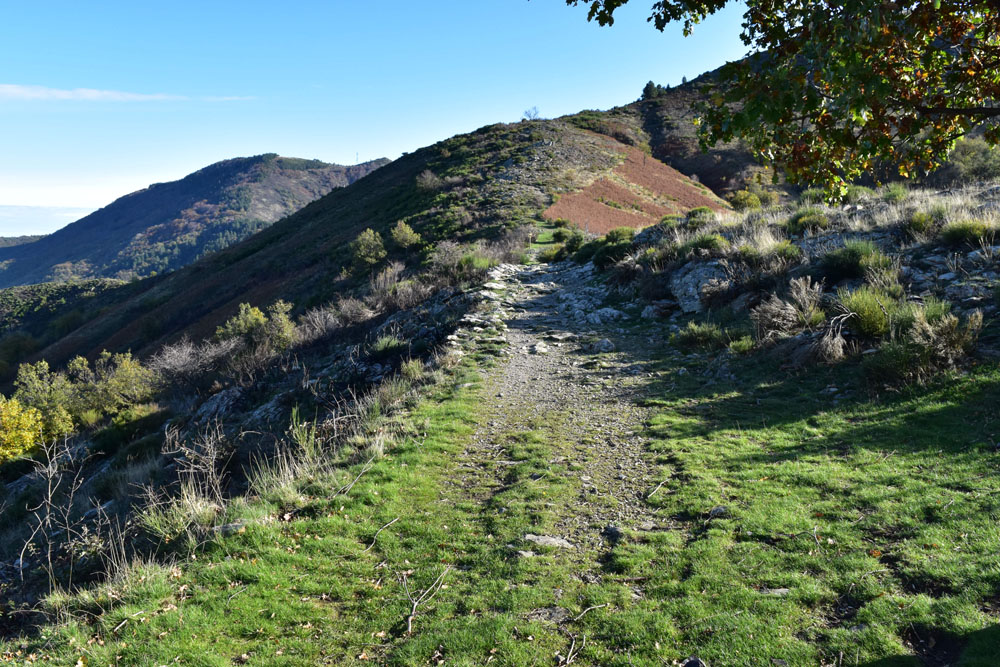 photo14