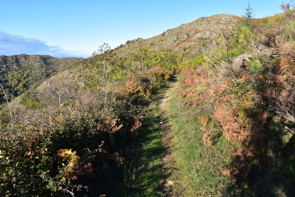 photo20