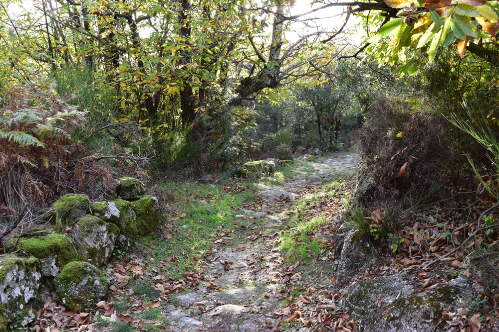 photo25