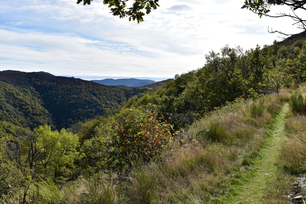 photo5
