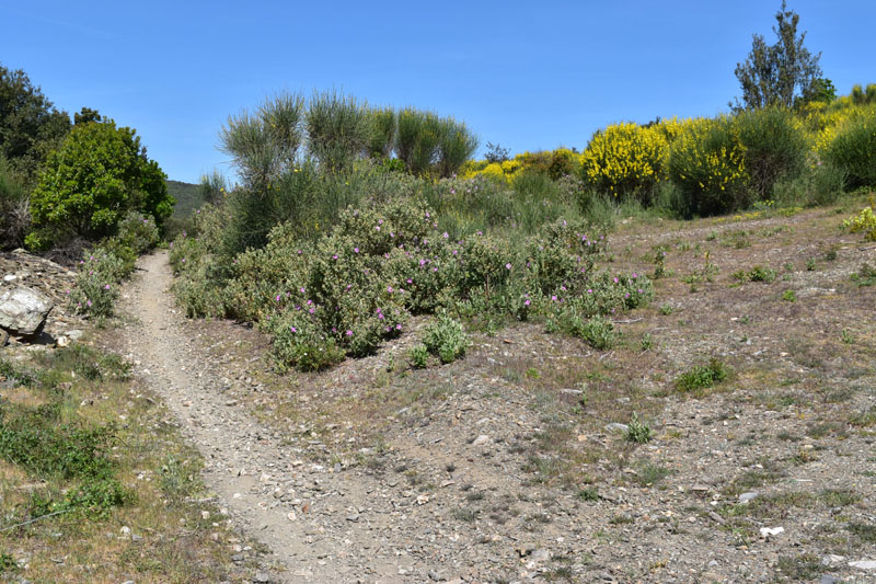 photo11