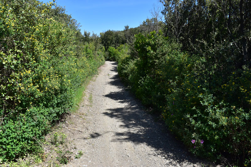 photo12