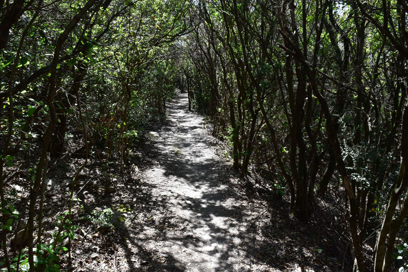 photo13