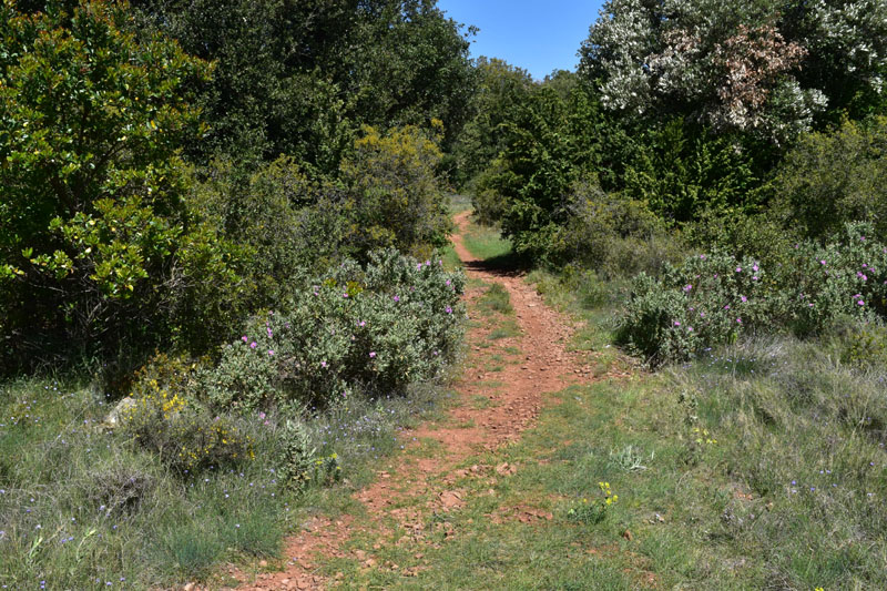 photo16
