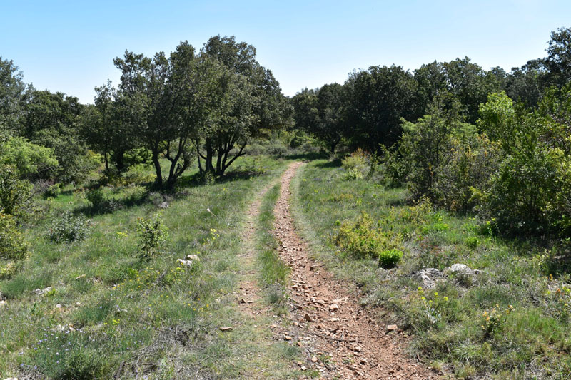 photo18