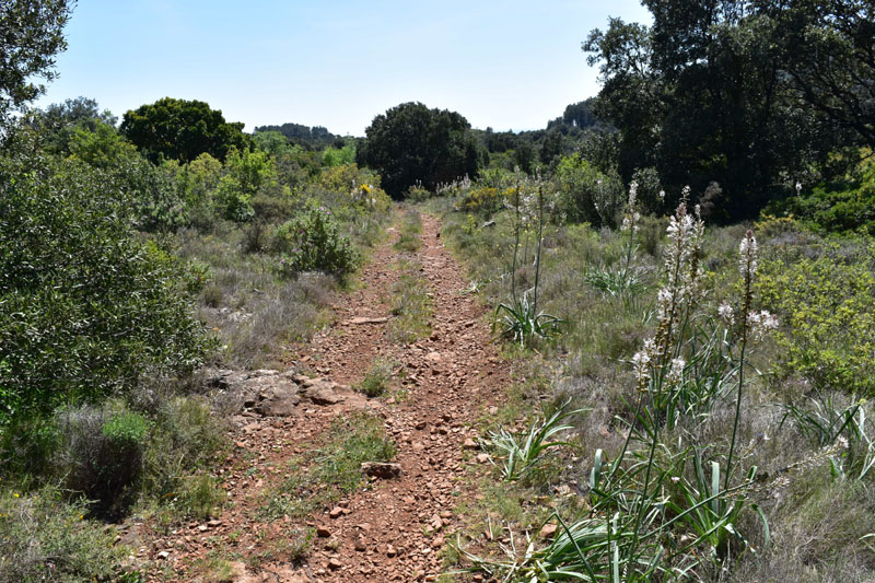 photo19