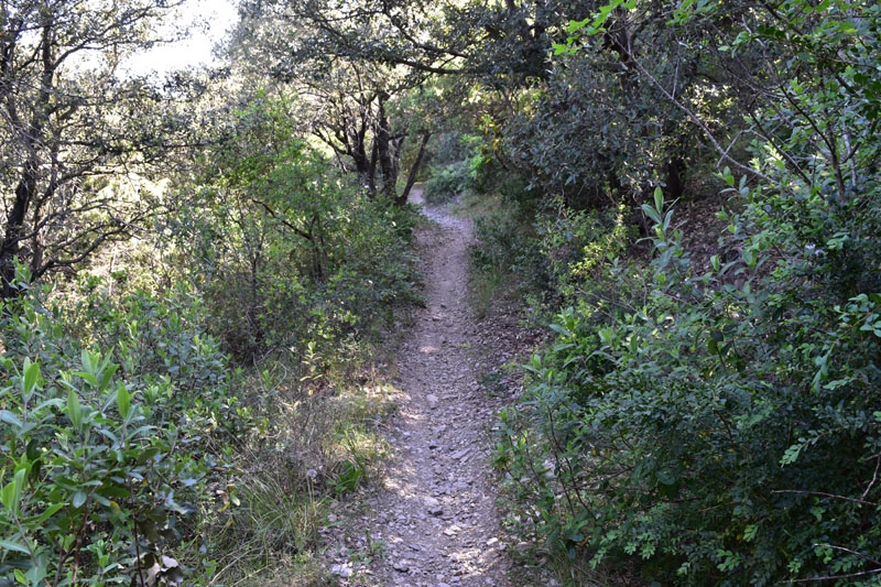 photo2
