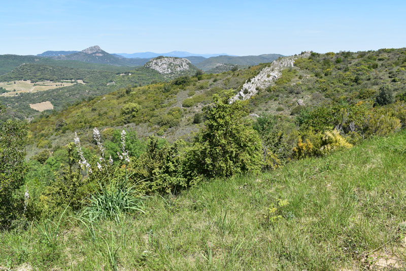 photo20
