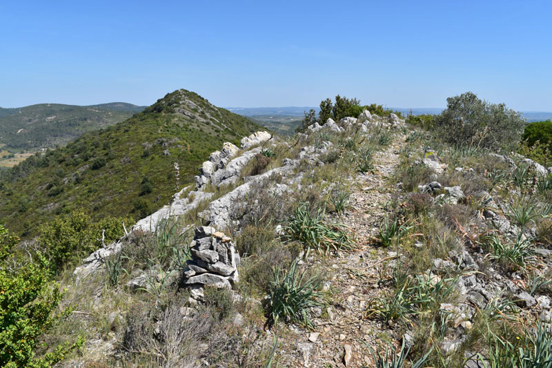 photo22