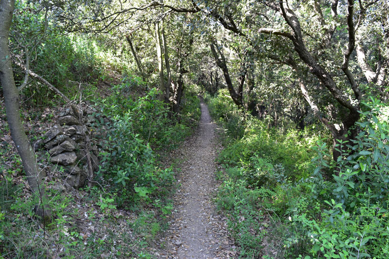 photo3