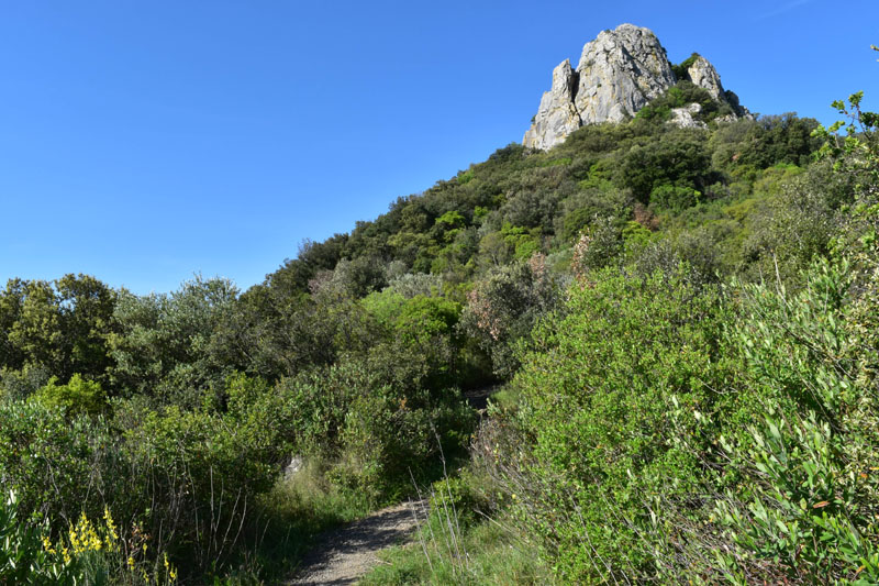 photo4