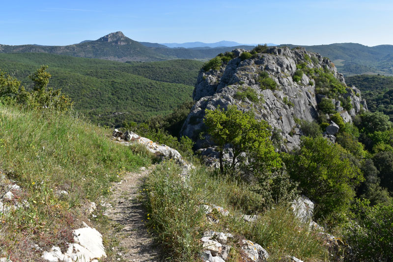 photo5