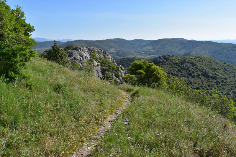 photo6