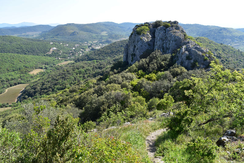 photo8