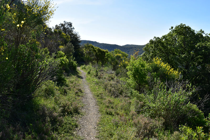 photo9