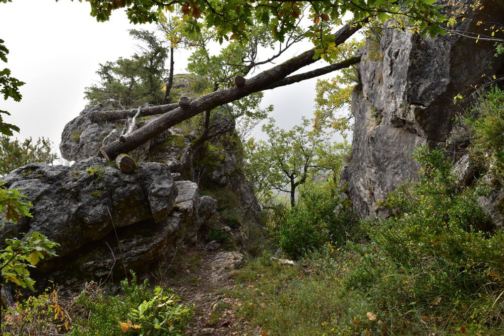 photo10