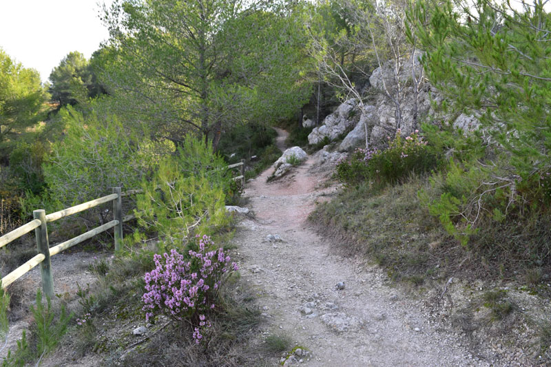 photo1