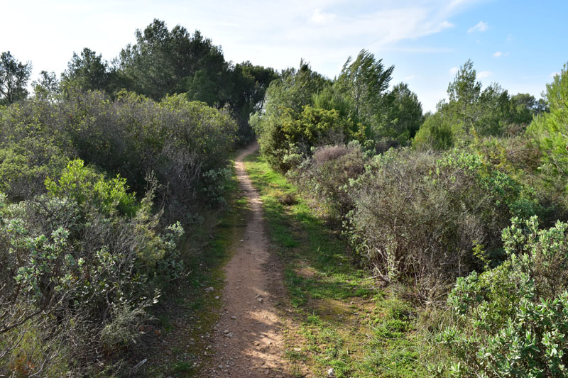 photo14