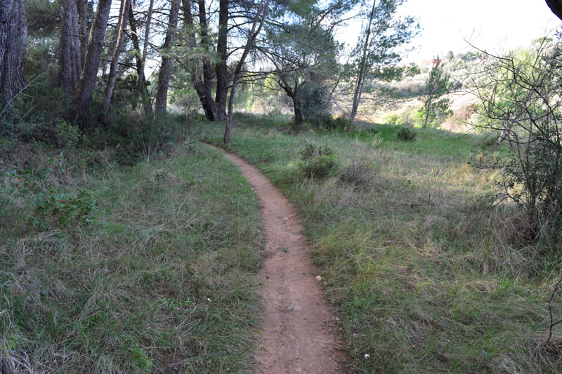 photo17