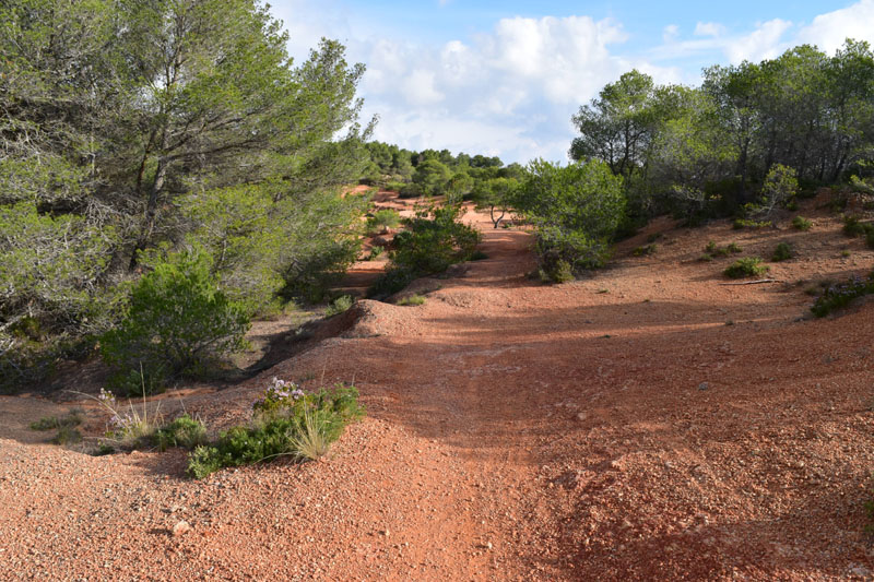 photo4