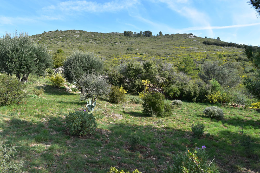 photo1